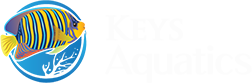 Keys Aquatics